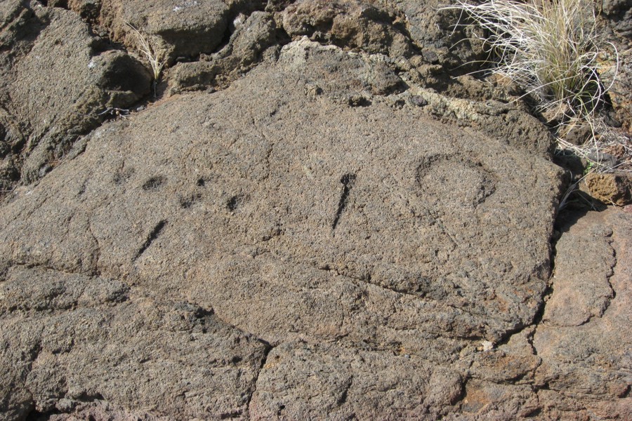 ../image/petroglyphs near waikoloa 1.jpg